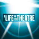 TV: Sneak Peek of A LIFE IN THE THEATRE Opening Night Video