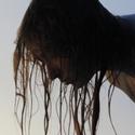 WICA Presents METAMORPHOSES 6/10-25