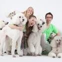 New York Theatre Ballet To Debut BARK! IN THE PARK, 02/05 & 02/23 - 02/24
