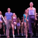 STAGE TUBE: Watch Highlights of Molly Tynes, Tony Vierling, Tom Berklund, and More in Video