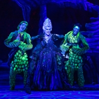 Photos: First Look at DISNEY'S THE LITTLE MERMAID at The Walnut Photo