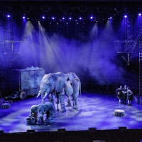 Video: First Look At CIRCUS 1903 at Southbank Centre's Royal Festival Hall Video