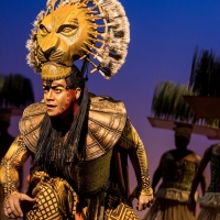 THE LION KING Comes to Toledo Next Month Photo