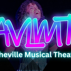 Asheville Musical Theatre To Return With New Vision and Initiatives Photo