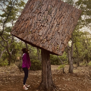 Bernheim Arboretum And Research Forest Announces L+A+N+D Photo