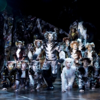 BWW Review: CATS at the Sands Theatre, what a fantastic mewsicle! Photo
