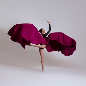 ASO And Ballet Theatre Of Maryland Partner To Perform School And Family Concerts At M Interview