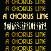 One Singular Sensation: A CHORUS LINE Opens At Pennsylvania Shakespeare Festival Photo