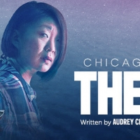 About Face Theatre Presents THE GULF Chicago Premiere Beginning Next Month Photo