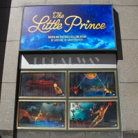 Meet the Cast of THE LITTLE PRINCE Photo