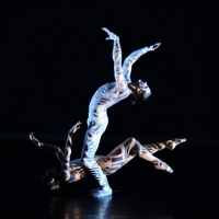 BWW Review: The Luminous and Exhilarating Luminario Ballet  Presents HARD AS A ROCK a Photo