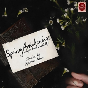 Full Cast Set For SPRING AWAKENINGS At Lazy Susan Theatre Co. Photo