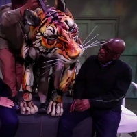 Video: Go Behind LIFE OF PI's Puppetry on THE TODAY SHOW Video