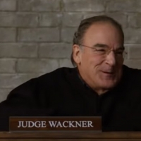 VIDEO: Mandy Patinkin Joins Season Five of THE GOOD FIGHT; Check Out an All New Trail Video