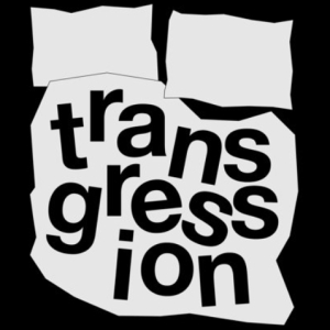 TRANSGRESSION World Premiere to be Presented at HERE Arts Center Photo