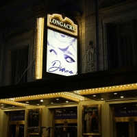 VIDEO: On the Opening Night Red Carpet for DIANA- Watch Now! Photo
