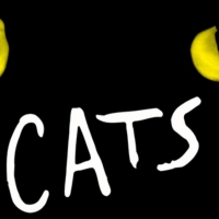CATS at North Charleston Performing Arts Center Has Been Postponed Photo