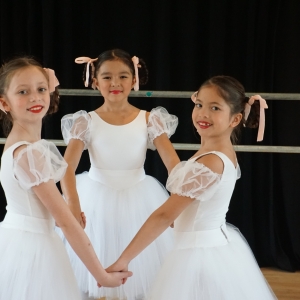 North Shore Civic Ballet Opens Spring Auction in June Photo