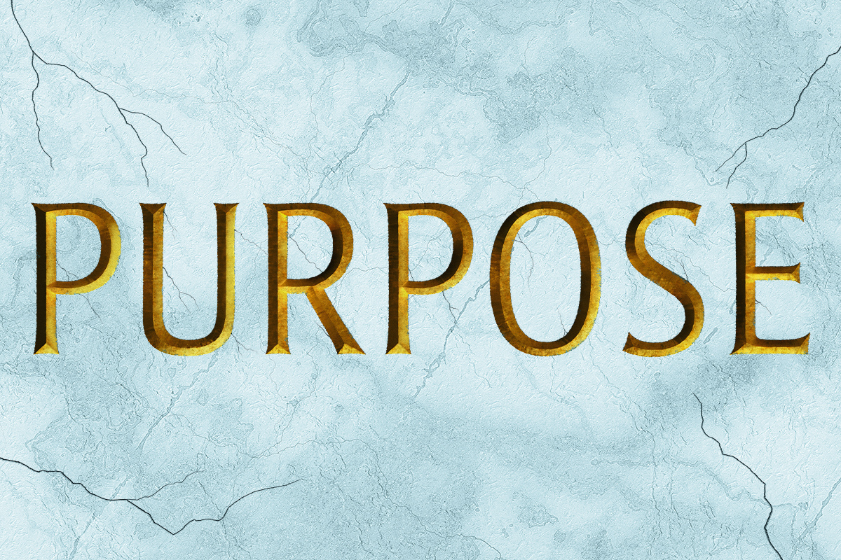 Purpose Broadway Show | Broadway World