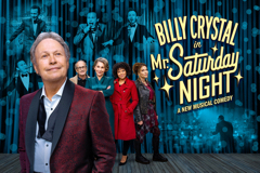 Mr. Saturday Night