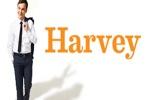Harvey