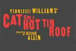 Cat on a Hot Tin Roof