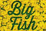 Big Fish
