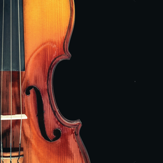 Stony Brook Symphony Orchestra in Long Island