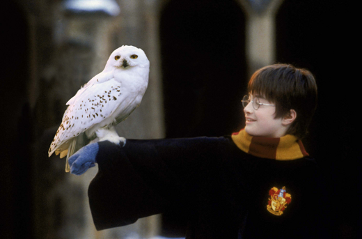 Harry Potter and the Sorcerer's Stone
