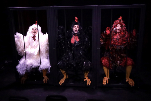 3 Chickens Confront Existence