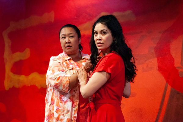 Photo Flash: Inside Look at VIETGONE at Capital Stage  Image