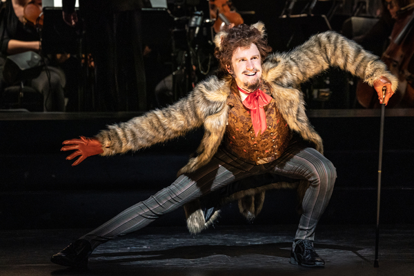 Gavin Creel Photo